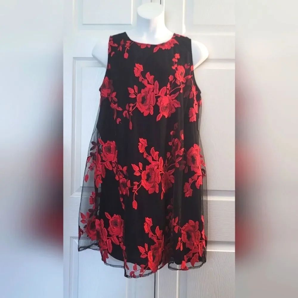 Roz & Ali Black and Red Floral Dress